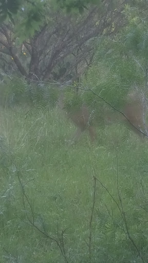 Park «Raymond Rimkus Park», reviews and photos, 6440 Evers Rd, Leon Valley, TX 78238, USA