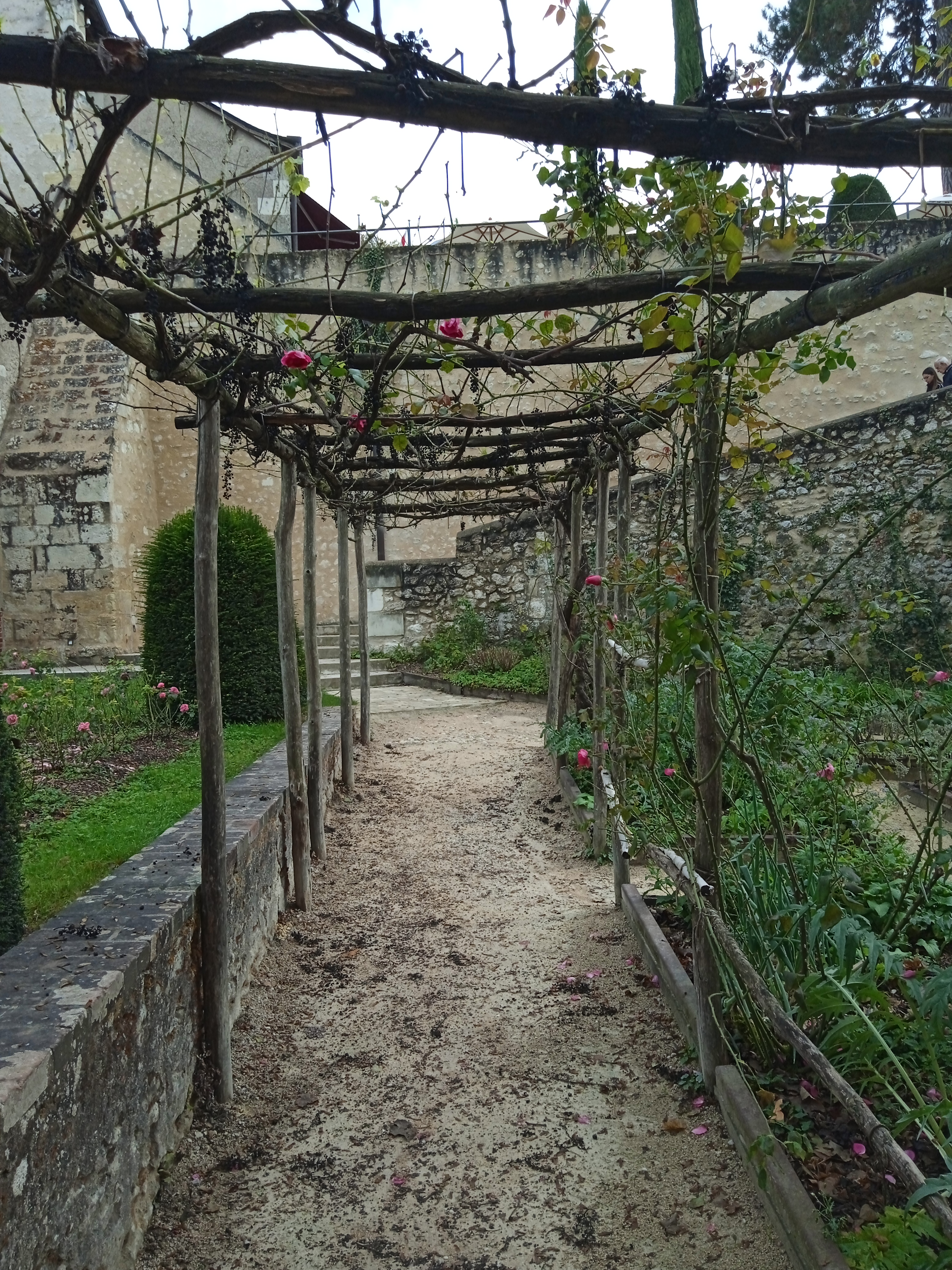 Photo n° 4 de l'avis de Adack. fait le 22/10/2023 à 14:32