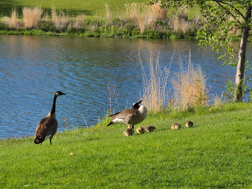 Park «Spring Lake Park», reviews and photos, 396 Springlake Ln, Aurora, IL 60504, USA