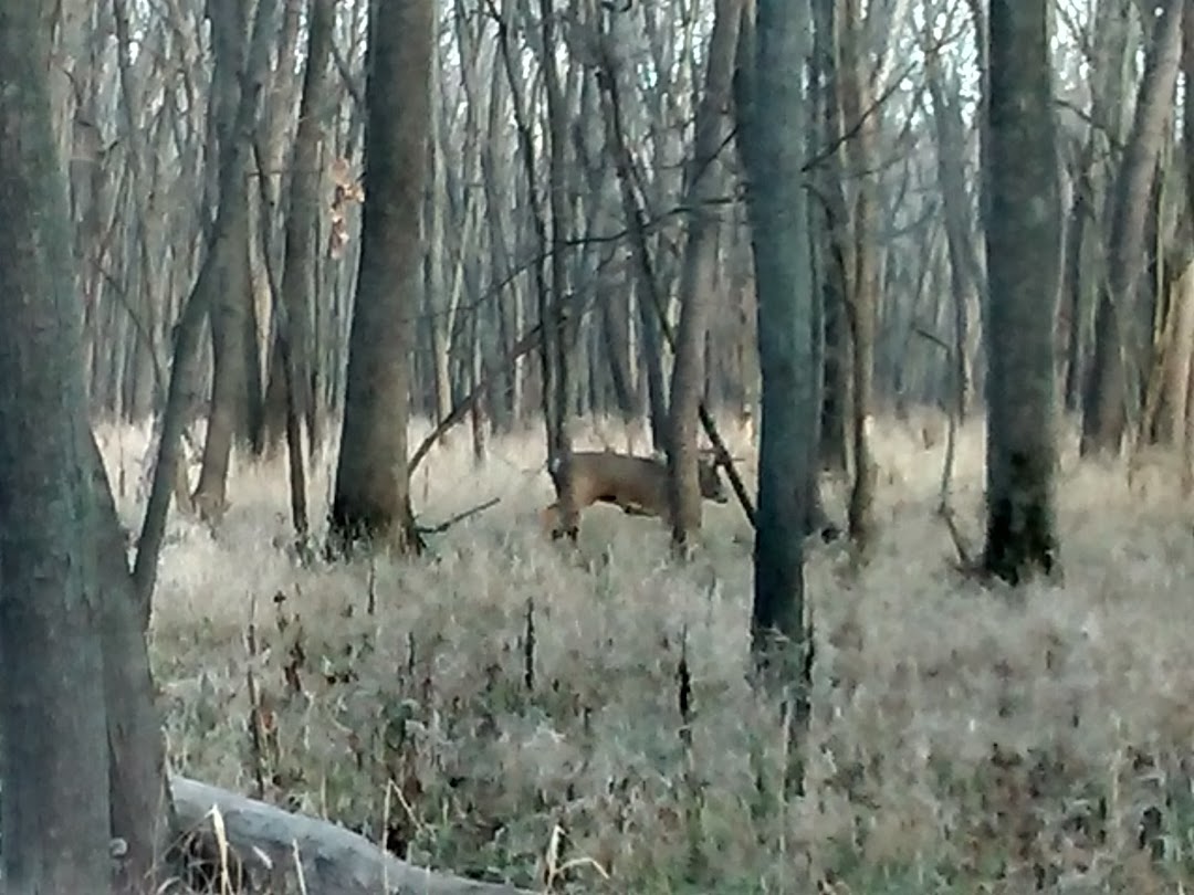 Madigan State Park