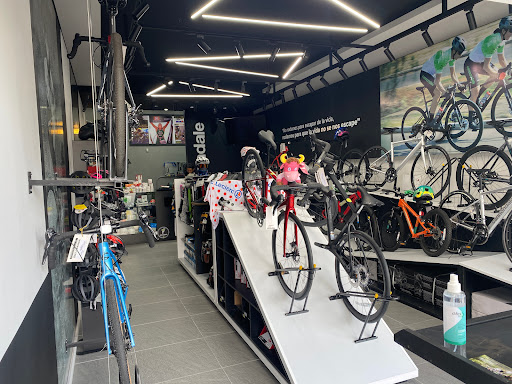 Taller de bicicletas THE CROWN CONCEPT - CANNONDALE