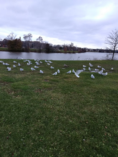 Golf Course «Hyde Park Golf Course», reviews and photos, 4343 Porter Rd, Niagara Falls, NY 14305, USA