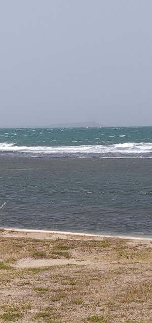Playa de la Guancha - photo 83