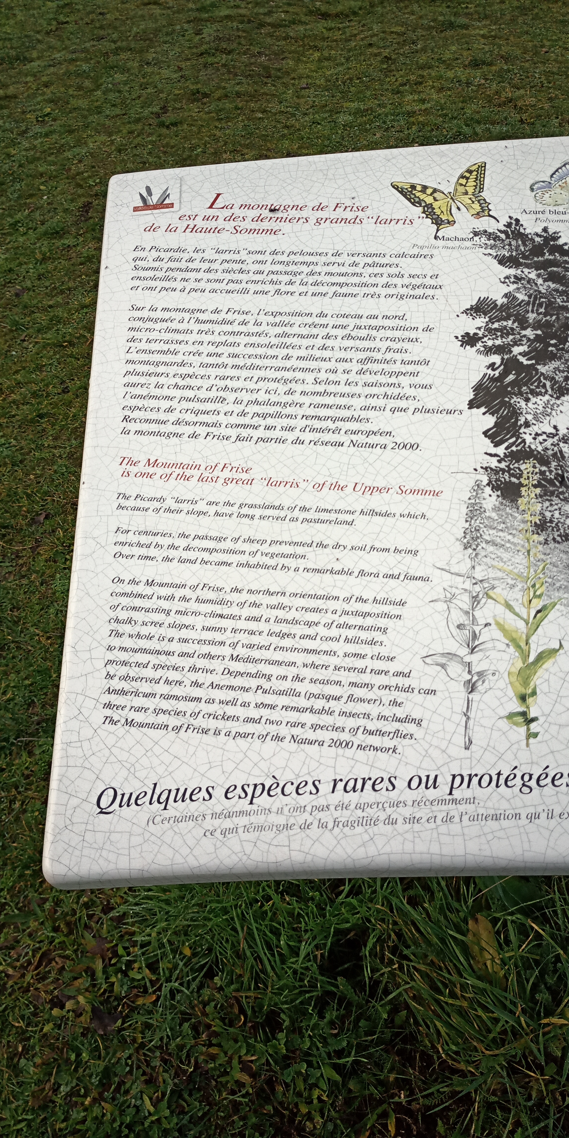 Photo n° 9 de l'avis de Enna.L fait le 22/12/2020 à 13:54