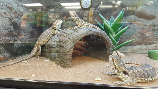 Pet Supply Store «Petco Animal Supplies», reviews and photos, 1203 SE Everett Mall Way f, Everett, WA 98208, USA