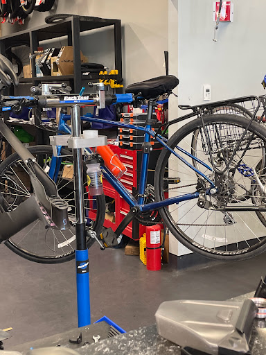 Landry's Bicycles shop front