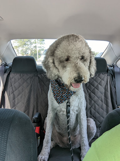 Pet Groomer «Furry Tails Pet Grooming», reviews and photos, 865 Cypress Pkwy, Poinciana, FL 34759, USA