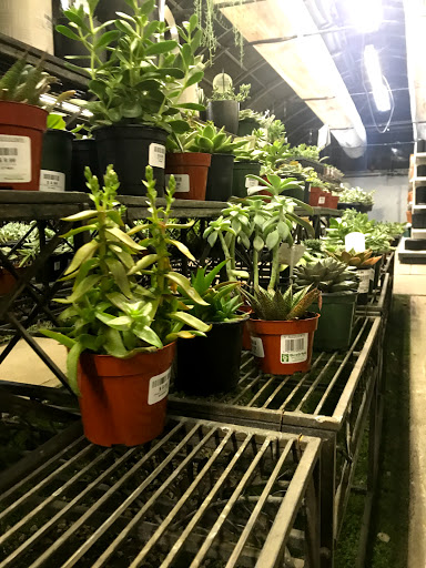 Plant shops in Calgary