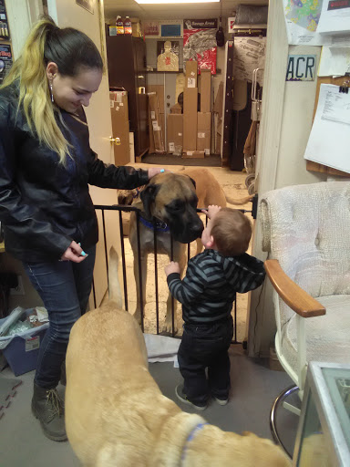 Gun Shop «On Target Enterprise», reviews and photos, 2747 Ashfork Ave, Kingman, AZ 86401, USA