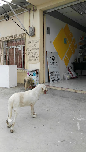 Opiniones de Centro De Bienestar Animal Comunitario (M.C.A) en Machala - Hospital