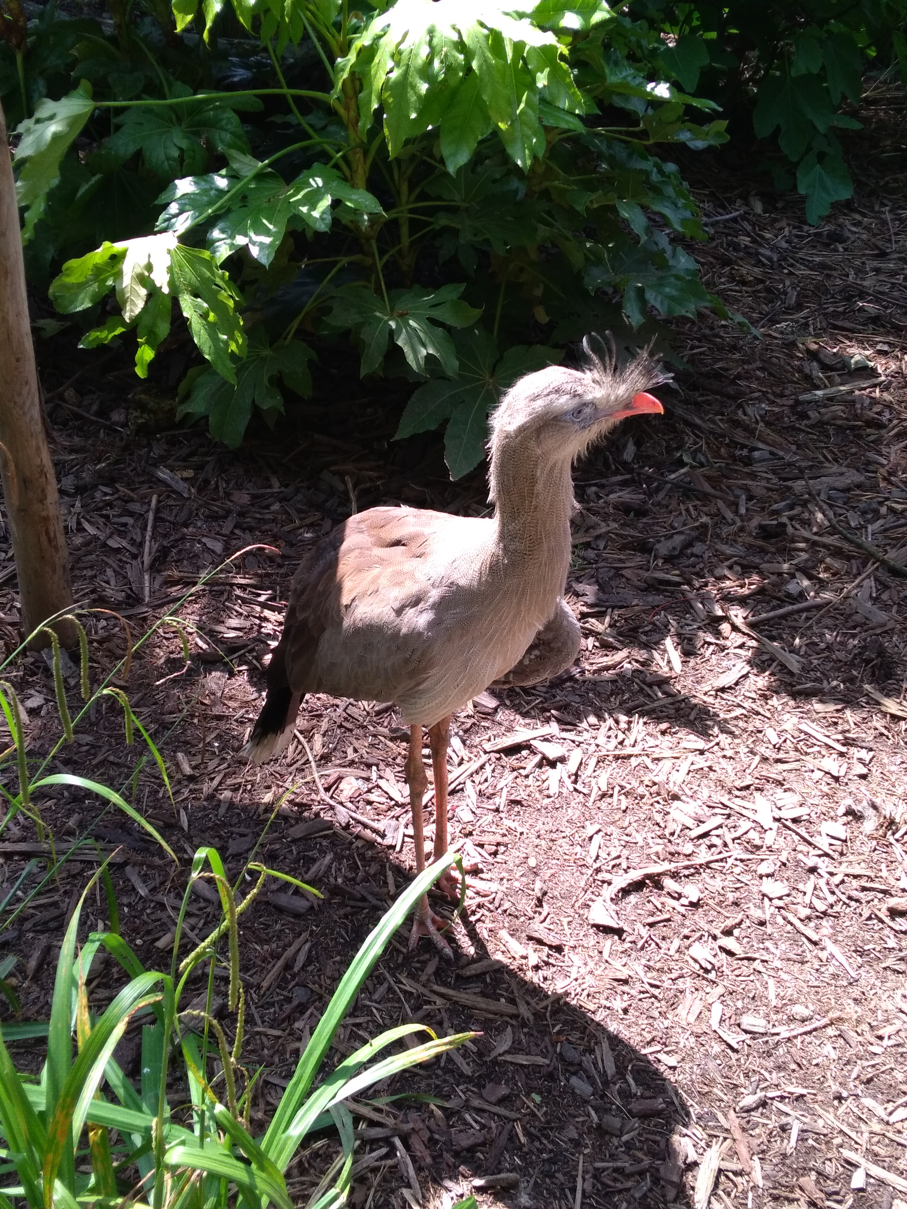 Photo n° 3 de l'avis de Antonin.r fait le 26/05/2018 à 15:29