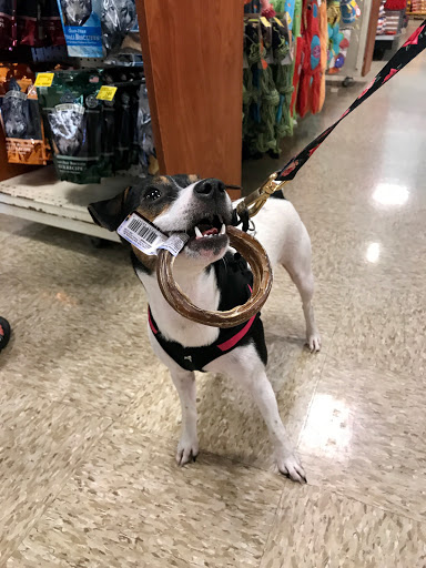 Pet Supply Store «PetSmart», reviews and photos, 2631 Beene Blvd, Bossier City, LA 71111, USA