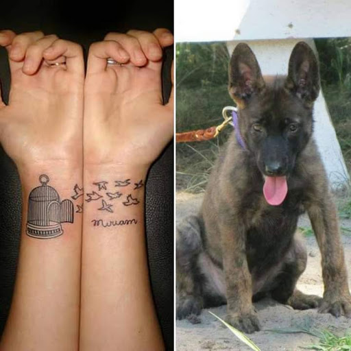 Explore motorcycle tattoo ideas, creative tattoo ideas in Elko, available at Custom Tattoos and Body Piercing Studio