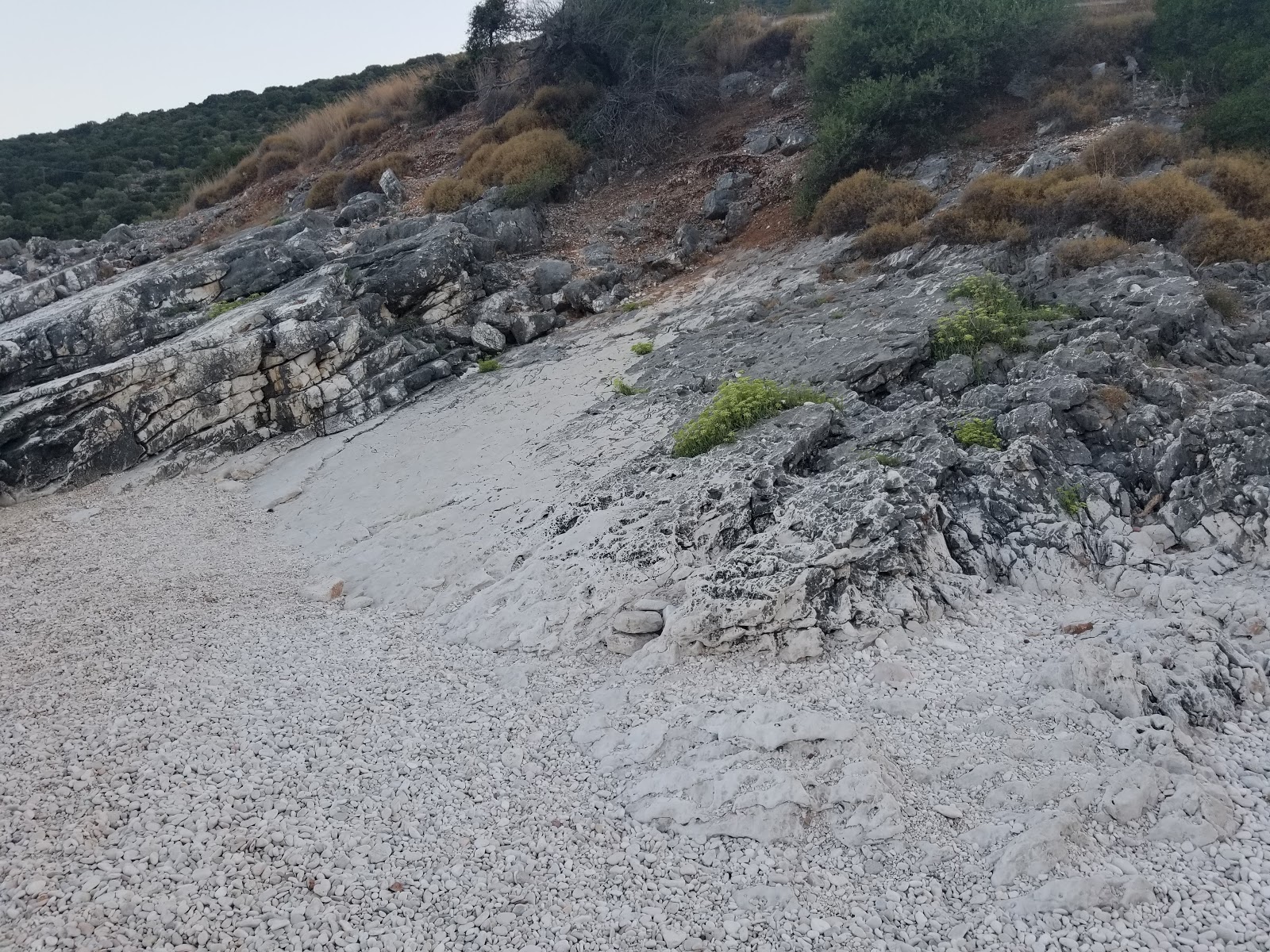 Foto af beach Ellinika beliggende i naturområde