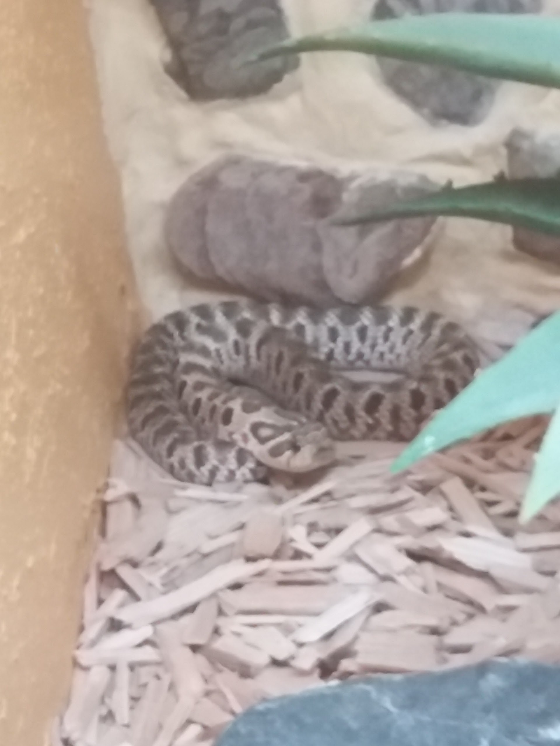 Photo n° 16 de l'avis de Damien.i fait le 21/08/2017 à 19:35