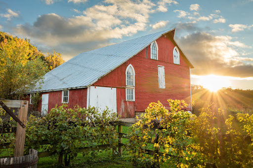 Winery «Galena Cellars Vineyard», reviews and photos, 4746 N Ford Rd, Galena, IL 61036, USA
