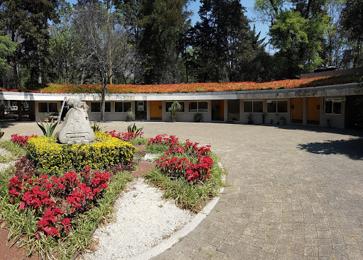 Jardín Botánico del Bosque de Chapultepec