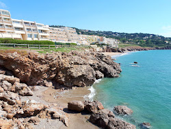 Foto von Crique de la Nau Plage mit geräumige küstenlinie
