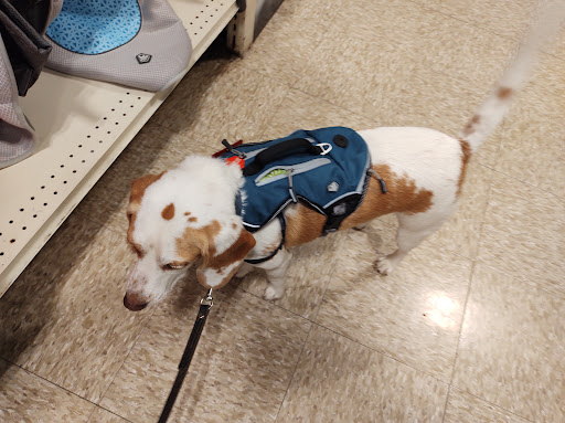 Pet Supply Store «PetSmart», reviews and photos, 6622 Charlotte Pike Suite 108, Nashville, TN 37209, USA