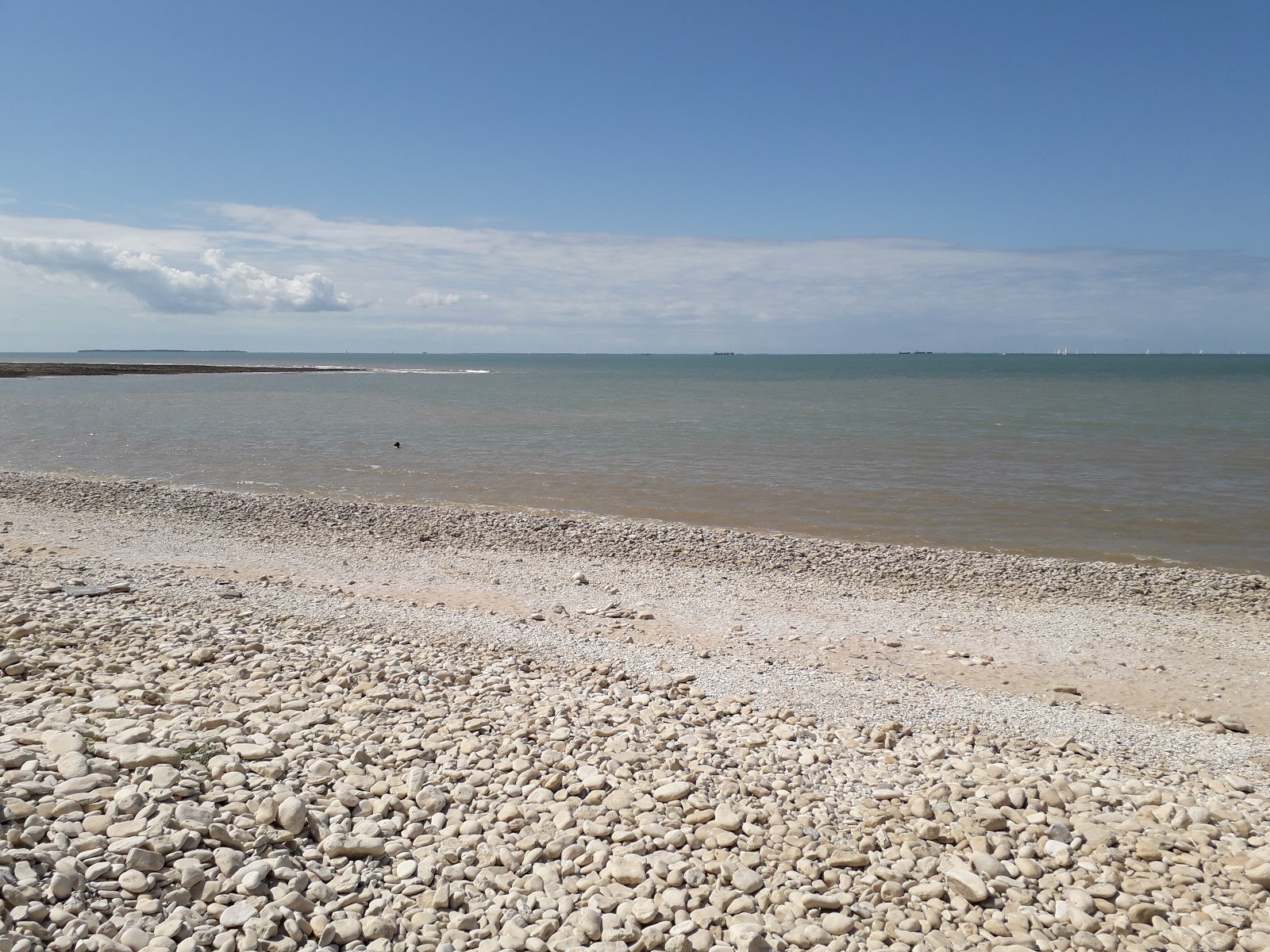 Plage Du Roux'in fotoğrafı vahşi alan