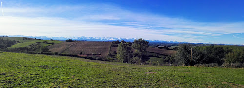 Le Rucher des Ânes à Rieux-Volvestre