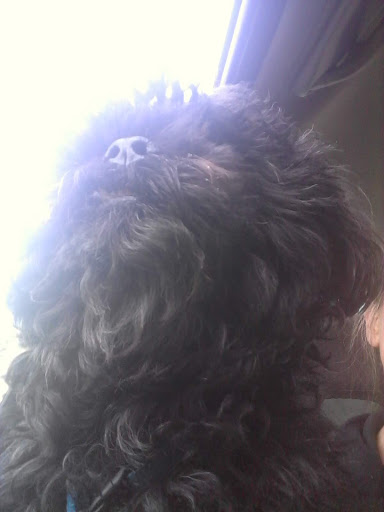 Auto Parts Store «NAPA Auto Parts - Fln Auto Parts», reviews and photos, 656 Lake St S, Forest Lake, MN 55025, USA