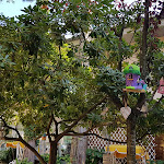 Photo n°8 de l'avis de Renata.a fait le 11/09/2017 à 07:02 sur le  Al Cacciatore di Sogni Hotel à Milano Marittima