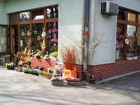 Květiny u Šatlavy | Rozvoz květin