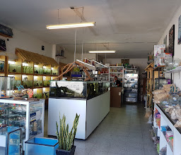 Acuario ARENITA photo