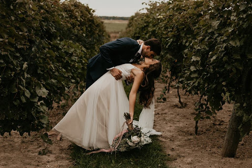 Vineyard «3 North Vines», reviews and photos, 5940 Peck Rd, Croswell, MI 48422, USA