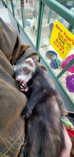 Pet Store «Petland Montgomery», reviews and photos, 7127 Eastchase Pkwy, Montgomery, AL 36117, USA