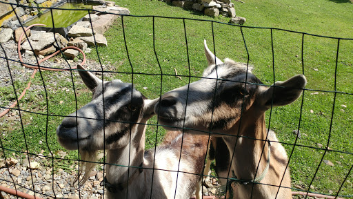 Antique Store «Chelsea Forge Antiques & Design», reviews and photos, 118 County Rd 627, Phillipsburg, NJ 08865, USA