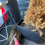 Photo n°5 de l'avis de Olaf.n fait le 13/09/2023 à 15:42 sur le  Seaside-Strandhotel à Timmendorfer Strand