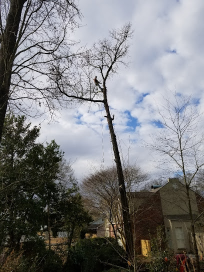 Blocker Tree & Landscape LLC