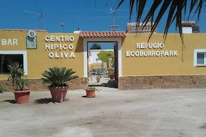 Centro Hipico Oliva image