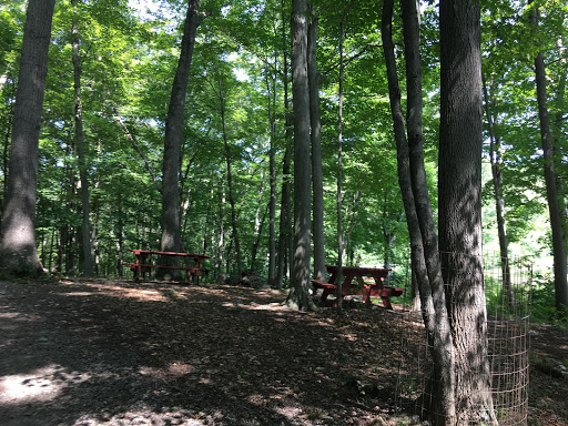 Park «Bethany Veterans Memorial Park», reviews and photos, 265 Beacon Rd, Bethany, CT 06524, USA