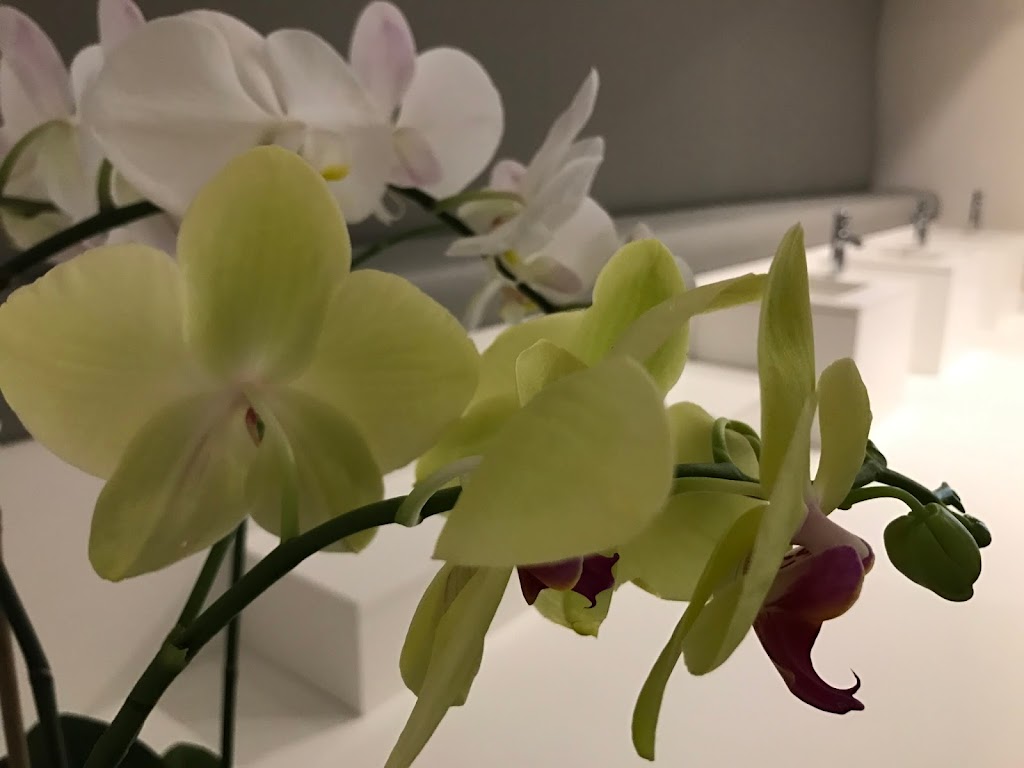 Sia's Beauty 10013