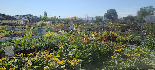 Plant Nursery «Rockin E Country Store», reviews and photos, 1201 W 500 S, Woods Cross, UT 84087, USA