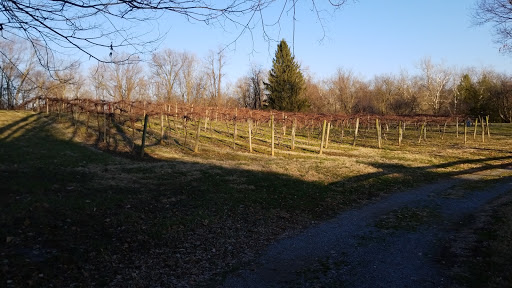 Winery «Nissley Vineyards», reviews and photos, 140 Vintage Dr, Bainbridge, PA 17502, USA