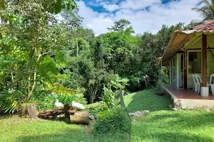 Cumarú Jungle Lodge image