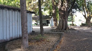 Memorial Park - photo 12