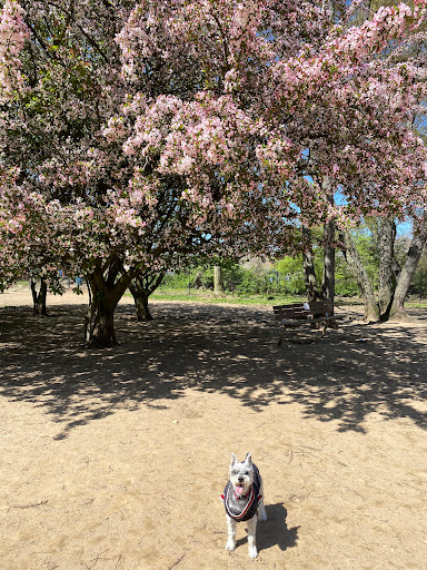 Park «Paws Place Dog Park», reviews and photos, Broadfield Rd, New Rochelle, NY 10804, USA