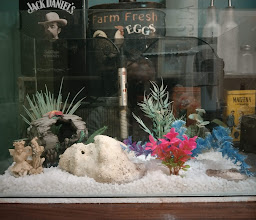 Kimberley Vet Shop photo