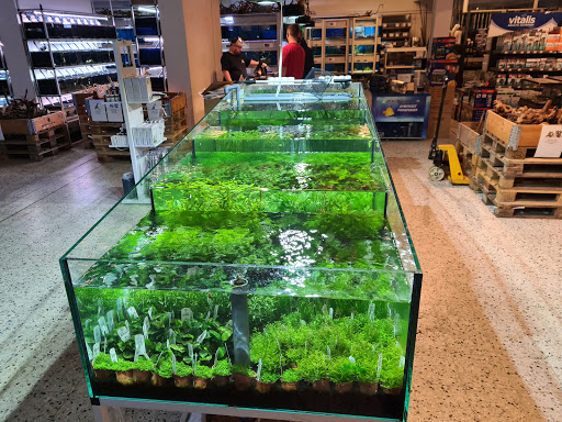 OceanReef in Horsens, Horsens