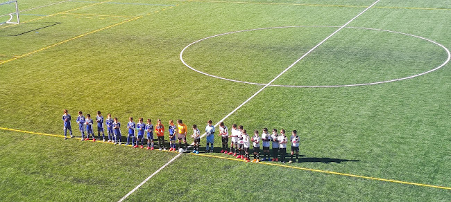 Avaliações doCampo de Futebol Ronfe em Guimarães - Academia