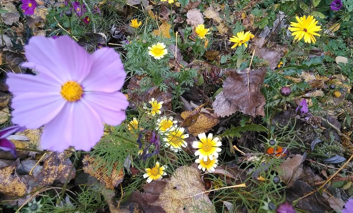 Photo n° 2 de l'avis de fab.3 fait le 31/10/2019 à 10:46