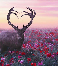 i Care Senior Care - Photo 3 - Car repair in , Colorado Springs