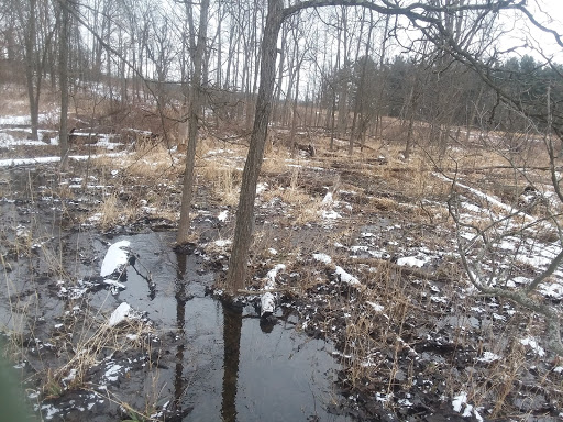 Nature Preserve «Leonard Preserve», reviews and photos, N Union St, Manchester, MI 48158, USA