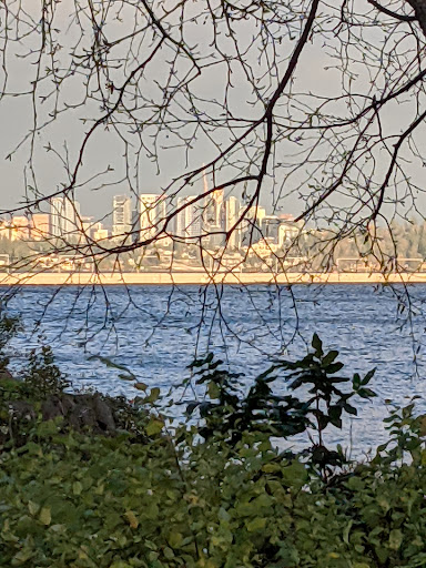 Park «Colman Park», reviews and photos, 1800 Lake Washington Blvd S, Seattle, WA 98144, USA