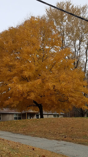 Produce Market «Homegrown Farm Market», reviews and photos, 21078 Three Notch Rd, Lexington Park, MD 20653, USA